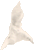 --bird--